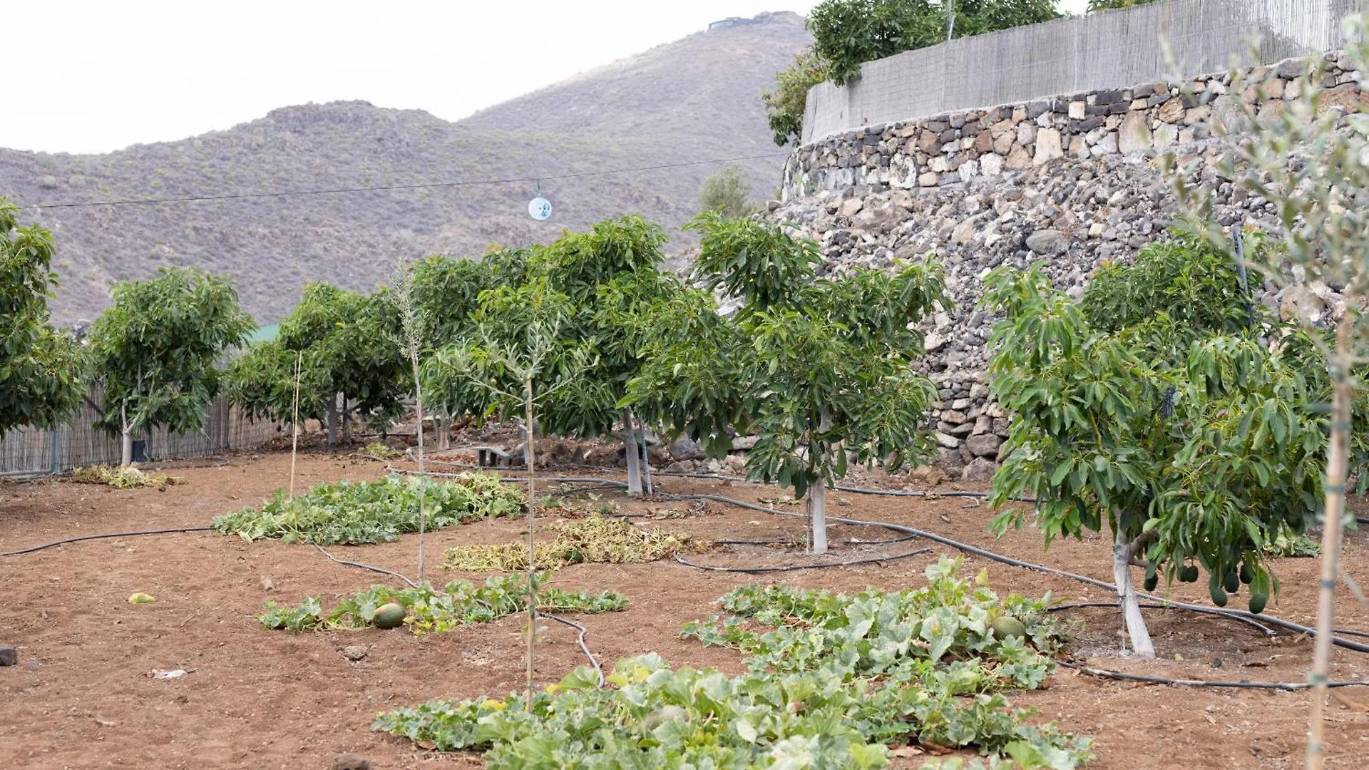 Home2Book Fantasy Villa & Nature, Private Pool San Miguel de Abona 0*,  Spain